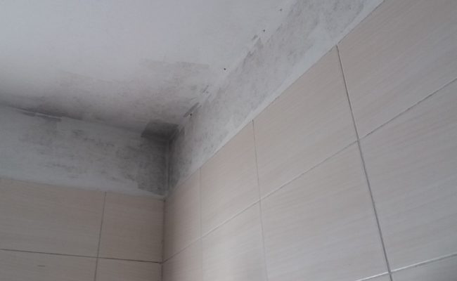 Bathroom_and_sanitary_2