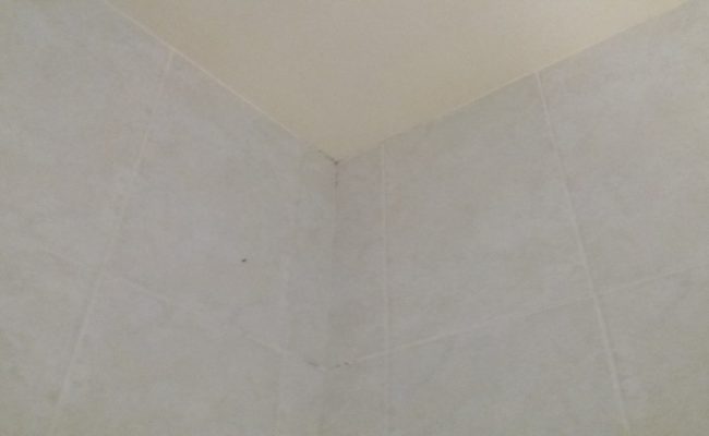 Bathroom_and_sanitary_4